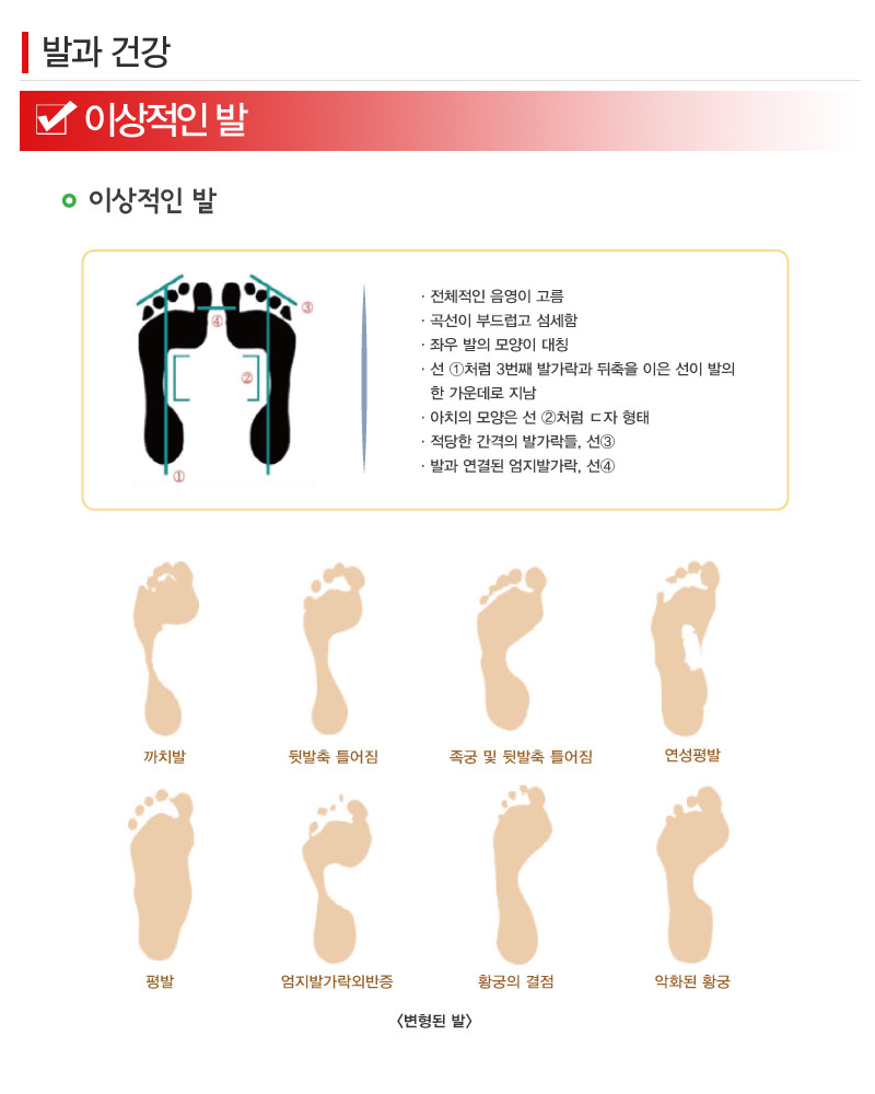 알즈너 새로운정 대리점_내용